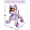 SH40194 U/K DANS EDEN ROBOT KEDİ -ZRV