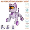 SH40194 U/K DANS EDEN ROBOT KEDİ -ZRV