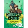 Sherlk Holmes - Kara Peter