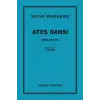 Şiirler 8 - Ateş Dansı