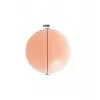 Silikon Göğüs Ucu Kapatıcı Kendinden Yapışkanlı Tekrar Kullanılabilir