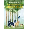 Sisin Sakladıkları 2 - Ortak Ruh
