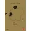 Sitem Taşları
