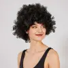 Siyah Renk Kıvırcık Afro Bonus Peruk Bx40