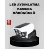 Solar Bahçe Aydınlatması Su Geçirmez IP66 PIR Sensörlü Uzun Çalışma Süreli