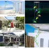 Solar Led Işıklı Kuşlu Bahçe Dekoru 6 Ledli,renkli Işık