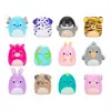 Squish-a-longs Scribblers Sürpriz Paket