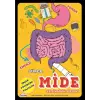 Süper Mide Ve Sindirim Sistemi