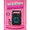 Taşınabilir 6.5” Bluetooth Hoparlör USB TF Kart Mikrofonlu Şarjlı Sistem