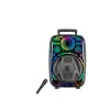 Taşınabilir Bluetooth Speaker Mikrofonlu RGB Işıklı Karaoke Ses Sistemi