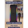 Taşınabilir Şarjlı Hoparlör USB SD Kart AUX Girişli