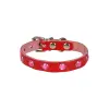 Taşlı Kedi ve Yru Köpek Tasması 1*23 cm Kırmızı Medium