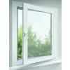 TEK KANATLI SİNEKLİK