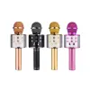 WS-858 Ses Değiştirmeli Karaoke Mikrofon