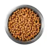 Tuklu Yetişkin Kedi sı 1 kg