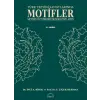Türk Tezyini Sanatları Motifler
