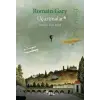 Uçurtmalar