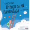 Uykusu Kaçan Kaplumbağa