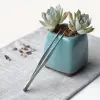 Uzun 30 cm Çelik Cımbız - Akvaryum Maşası