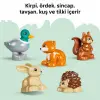 Vahşi Hayvanlarla Keşif Ormanı 10480