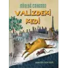 Valizdeki Kedi