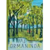 Yaz Ormanında