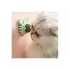 Yengeç Kedi Otu Oyun Topu