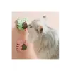 Yengeç Kedi Otu Oyun Topu