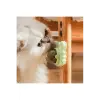 Yengeç Kedi Otu Oyun Topu