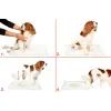 Yıkanabilir Köpek Çiş Pedi - 100 X 100 Cm