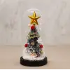 Yılbaşı Temalı Işıklı Dekoratif Cam Fanus - Model 4