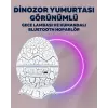 Yıldız Gökyüzü Efektli Çok Modlu Gece Işığı