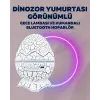Yıldız Gökyüzü Efektli Çok Modlu Gece Işığı