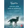 Yru Adında Bir Sokak Köpeği