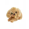 Yru Hlayan Peluş Köpek 30 Cm  - 1 ADET