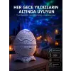 Yumurta Görünümlü Masa ve Gece Lambası Renk Değiştirebilen Projektör