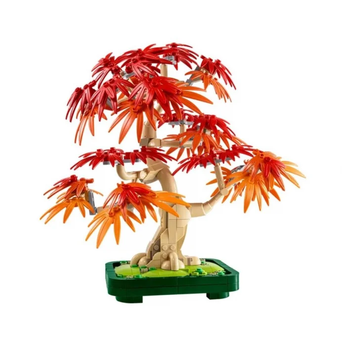 10348  iconic Japon Akçaağaç Bonsai Ağacı 474 parça +18 yaş
