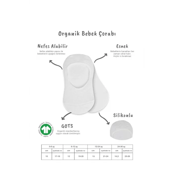 2Li Penye Babet Silikonlu Basic Çorap 30104 Gri Beyaz