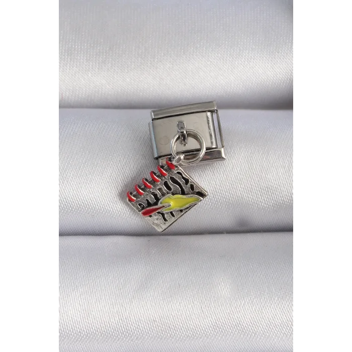 316L Çelik Gümüş Renk Sallantı Defter Figür Nomination Charm