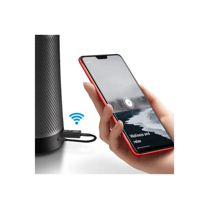 ALLY 2in1 Bluetooth 5.0 Mini USB Adaptör+Fm Transmitter-(1903) - DROPX1120-9748