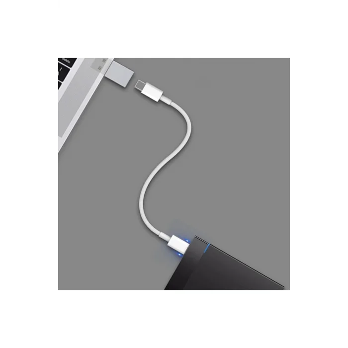 ALLY MH-301 USB to Type-C Dişi Çevirici Dönüştürücü Adaptör-(1903) - DROPX7635-1470