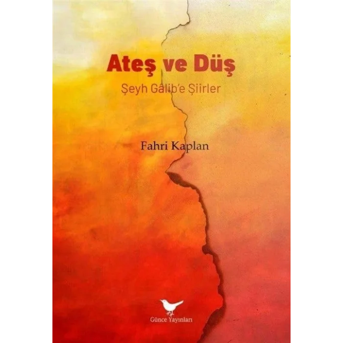 Ateş ve Düş: Şeyh Galibe Şiirler [Paperback] [Dec 19, 2024] Fahri Kaplan
