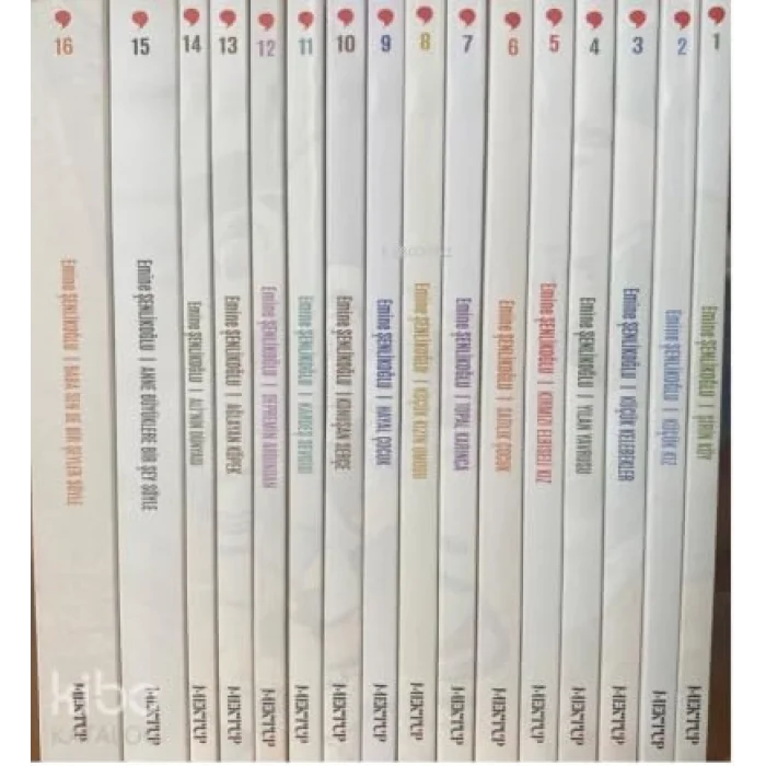 Nesillerin Öyküsü (16 Kitap) [Unbound] [Nov 14, 2024] Emine Şenlikoğlu