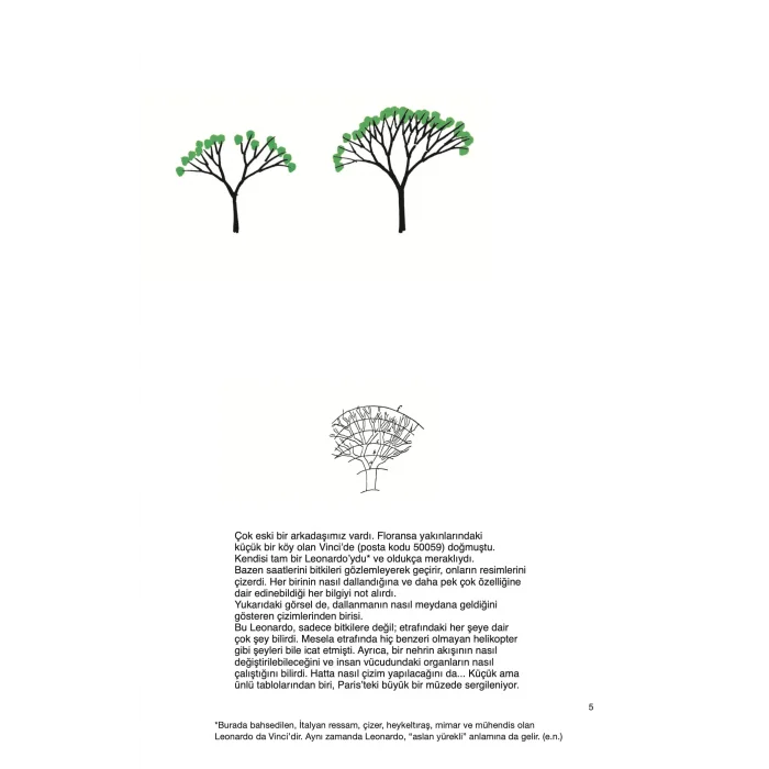 Ağaç Çizmek [Jan 01, 2026] Bruno Munari