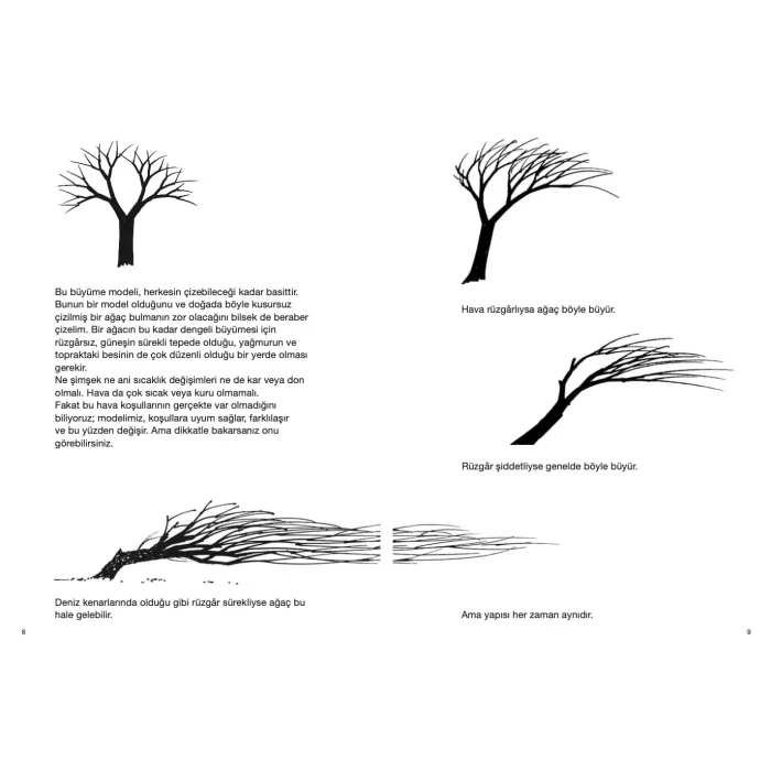 Ağaç Çizmek [Jan 01, 2026] Bruno Munari