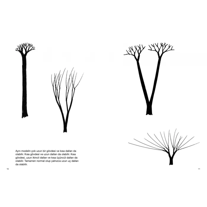 Ağaç Çizmek [Jan 01, 2026] Bruno Munari