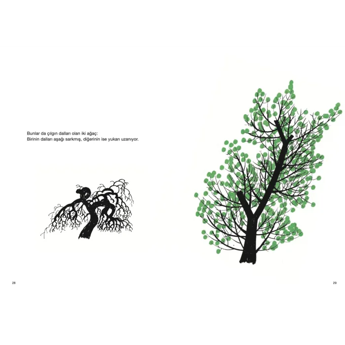 Ağaç Çizmek [Jan 01, 2026] Bruno Munari