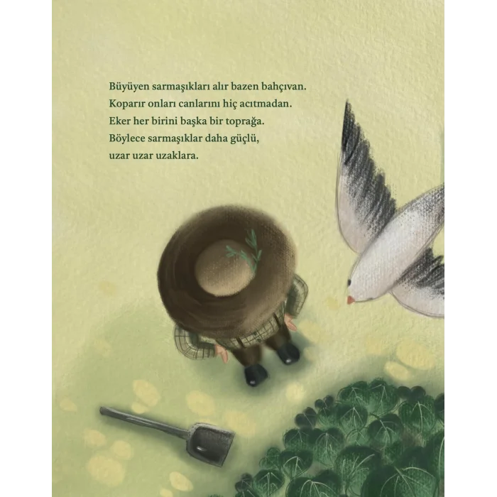 Sarıl Sarıl [Feb 01, 2025] Ali Oturaklı