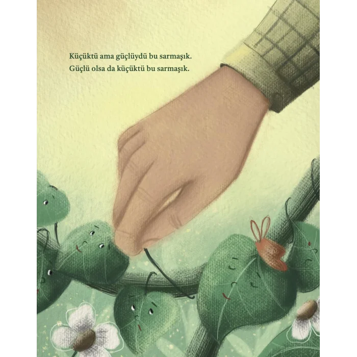 Sarıl Sarıl [Feb 01, 2025] Ali Oturaklı