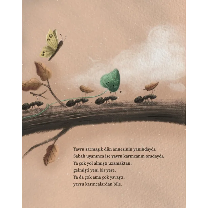 Sarıl Sarıl [Feb 01, 2025] Ali Oturaklı